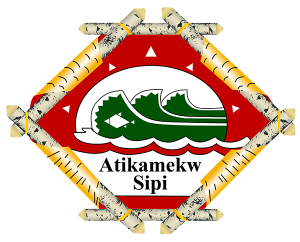 CNA-logo